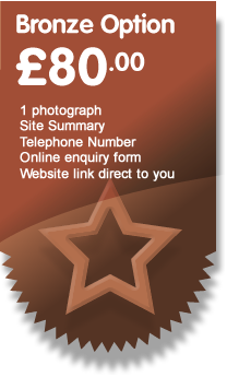 Bronze Listing