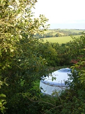 Summerhill Yurts image 1