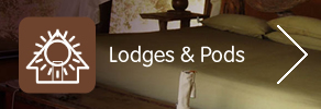 Lodges and Pods