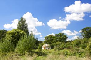 Bloomfield Camping Image