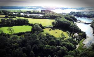 Eco Escape Glamping Image