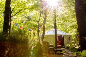 Larkhill Tipis and Yurts Image