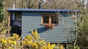 Rhyd y Galen Glamping Image