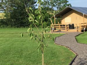 GLAMP IN STYLE Image
