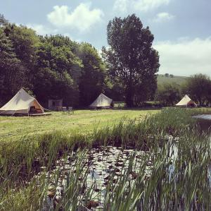 Chalke Valley Camping Image