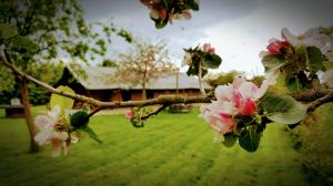 Luxury Camping at Woodhouse Farm Image