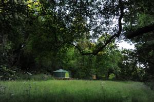 Redwood Valley Woodland Cabin and Yurts Image