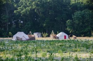 Knepp Wildland Safaris and Camping Image