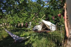 Safari Glamping Image