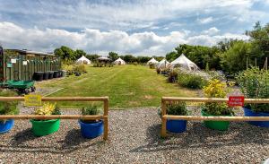 Lowarth Glamping Image