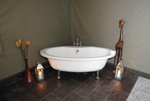 Hot tub Safari at Pentre Mawr Country House Image