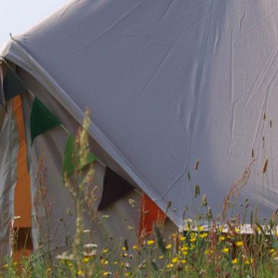 Glamping is the Perfect Way to Experience Nature with Comfort Image