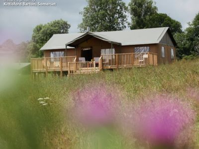 Lantern and Larks, Kittisford Barton Lantern and Larks, Kittisford Barton Image